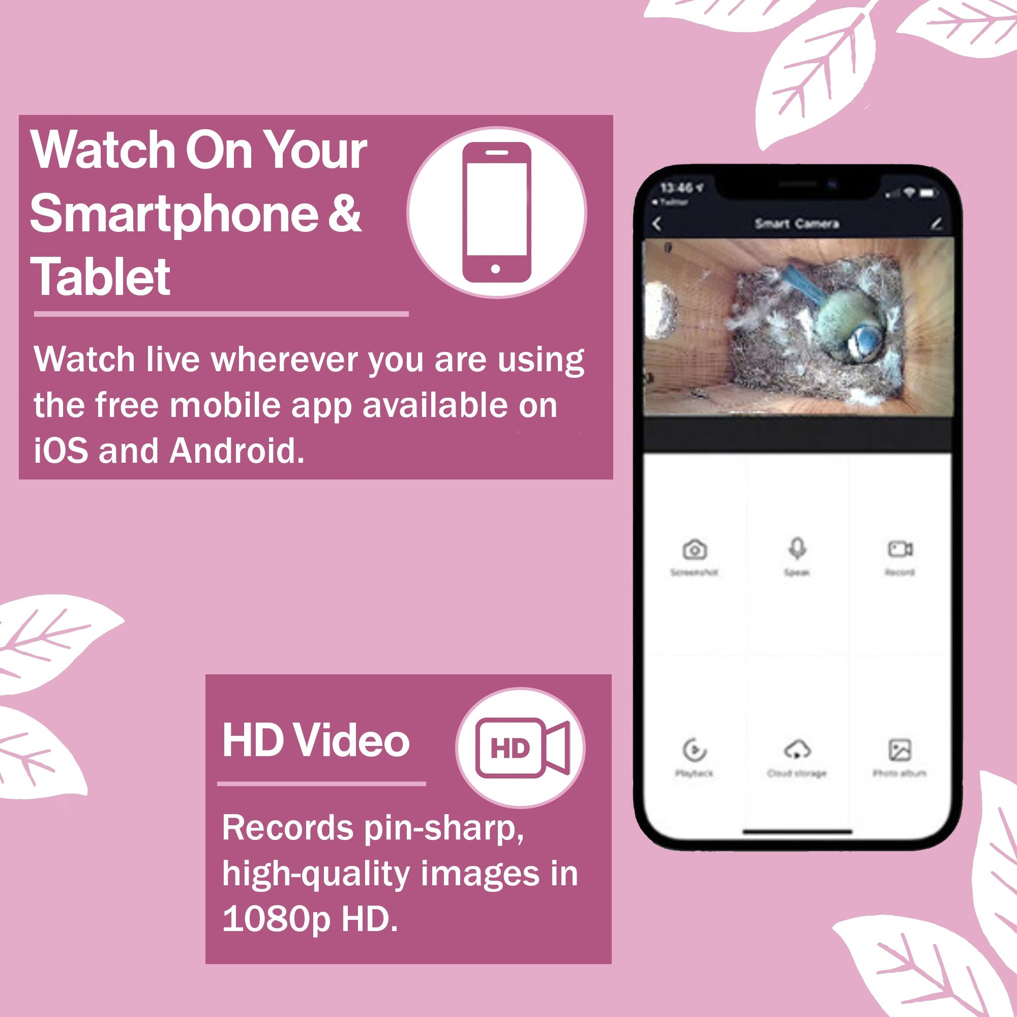 Wired Network Bird Box & Wildlife HD Camera (2nd Gen)