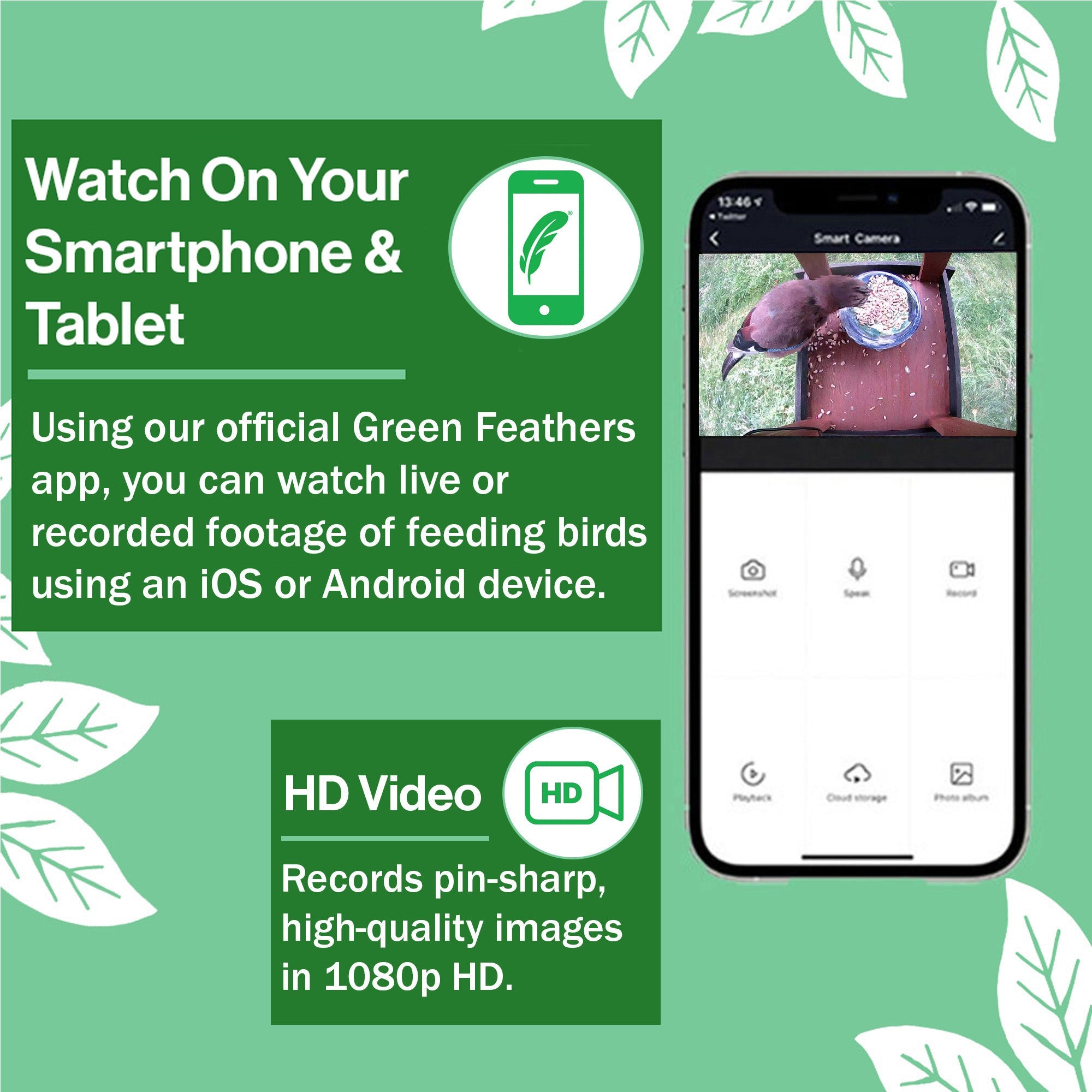 WiFi Hugo Bird Table HD Camera Pack