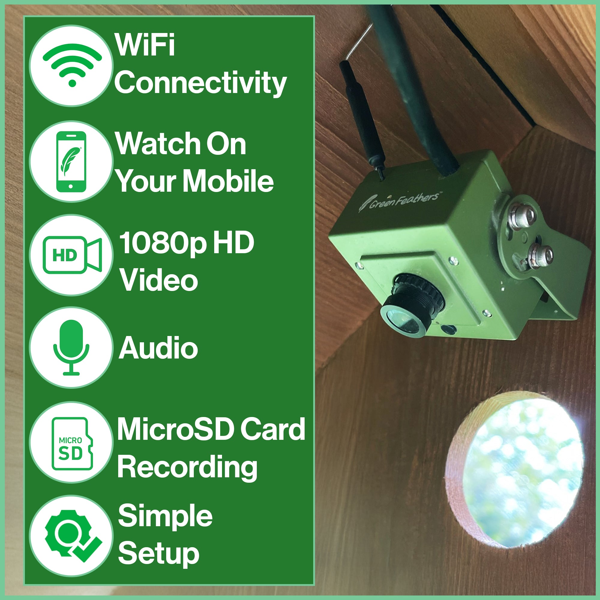 WiFi Hugo Bird Table HD Camera Pack