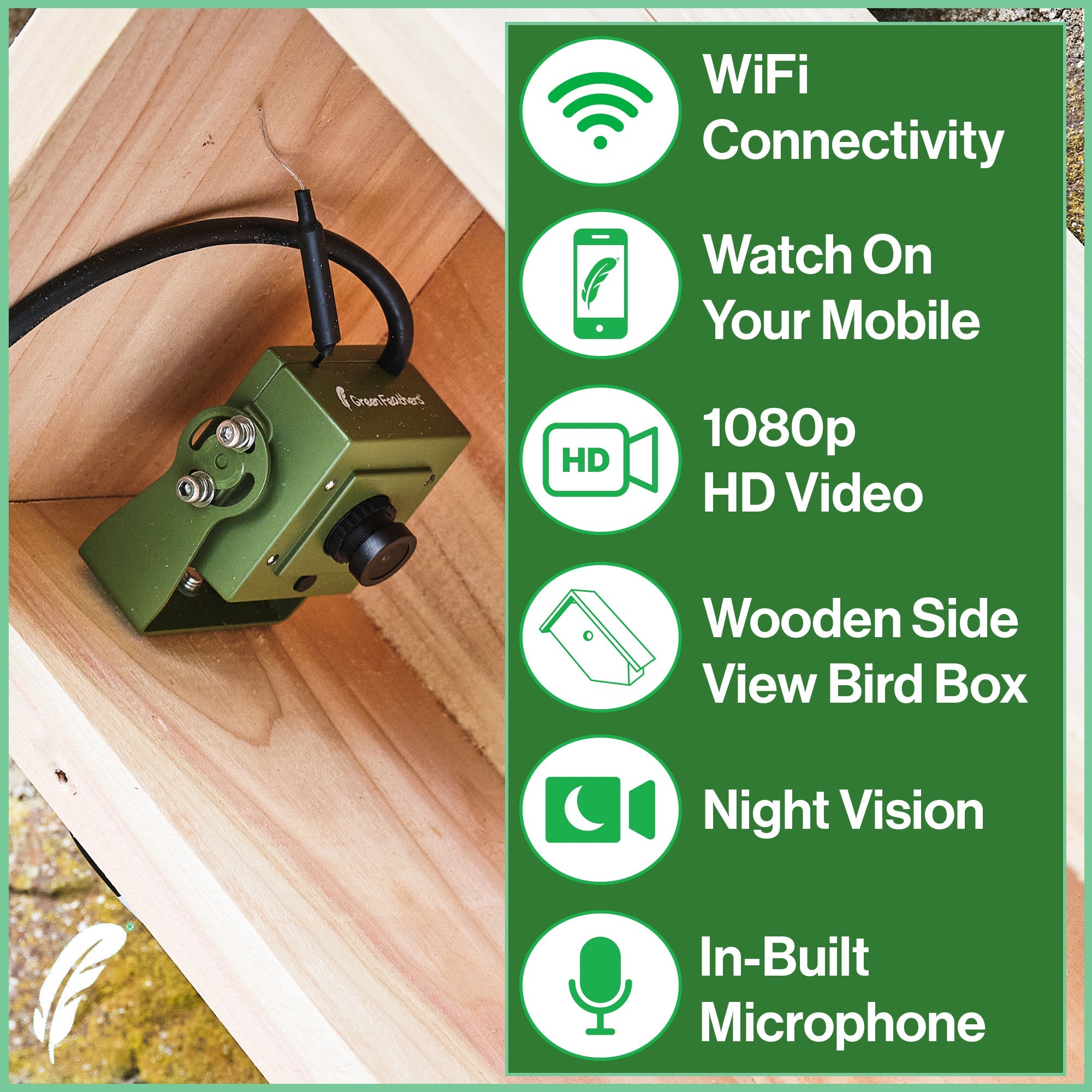 WiFi Side View Bird Box Starter Pack