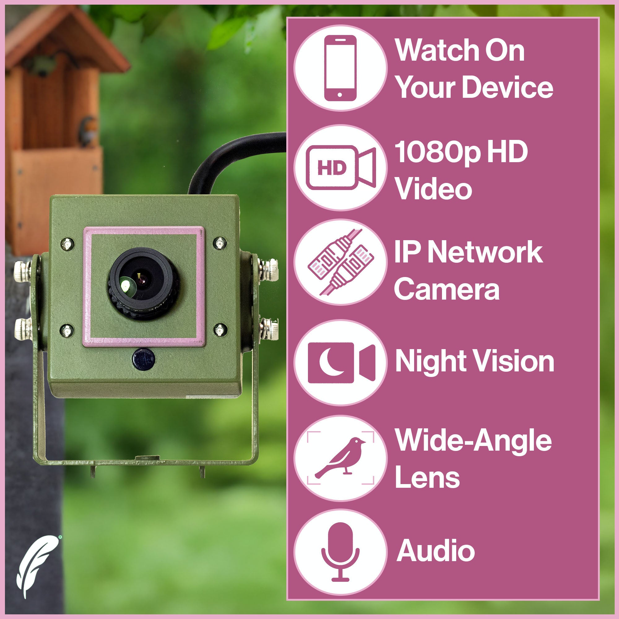 Wired Network Bird Box HD Camera Starter Pack (2nd Gen)
