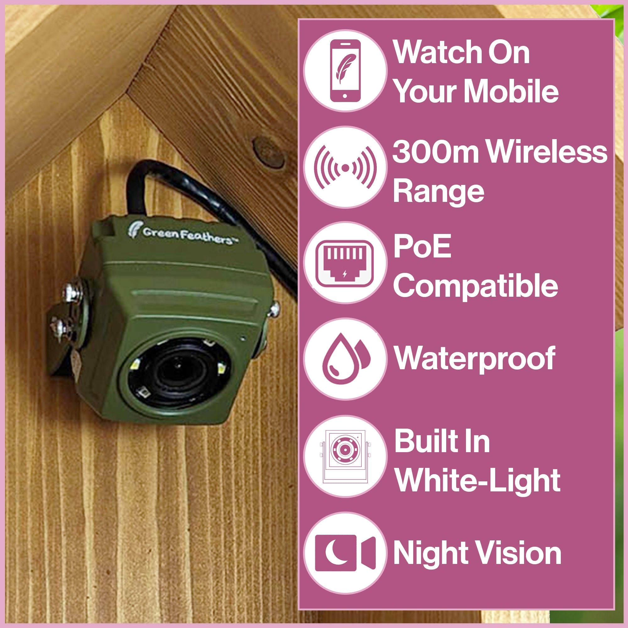 Wired Network Bird Box & Wildlife HD Camera PoE Version