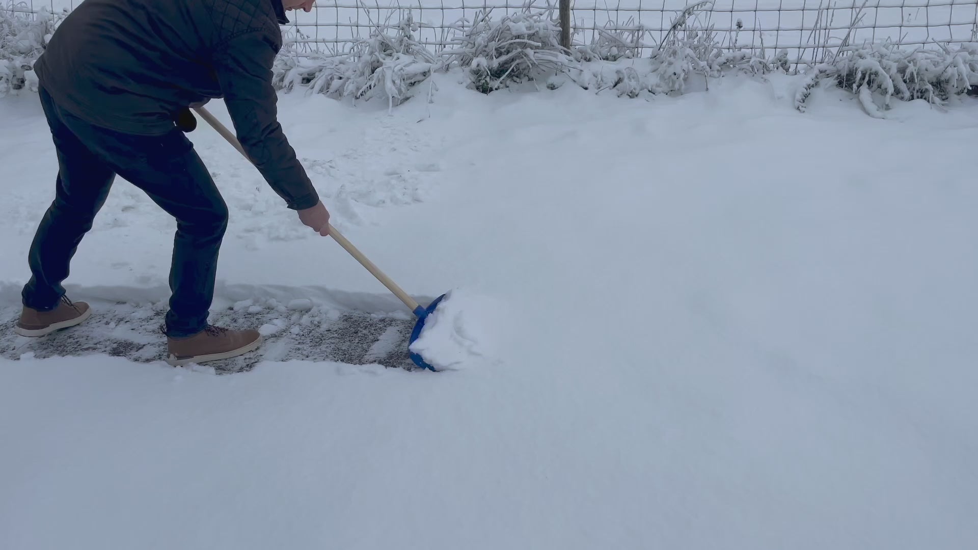 A man shovelling snow in front of a fence with a blue shovel.
