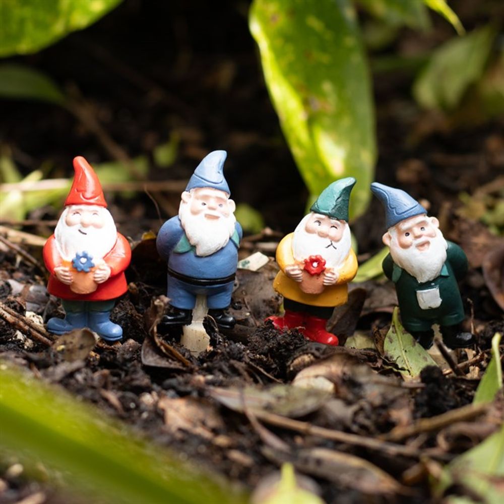 The Set of 4 Mini Gnome Plant Pot Pals adds whimsy to your fairy garden. Each colorful figurine stands on soil amid green leaves, sporting a red, blue, yellow, or green outfit with white beards and pointy hats.