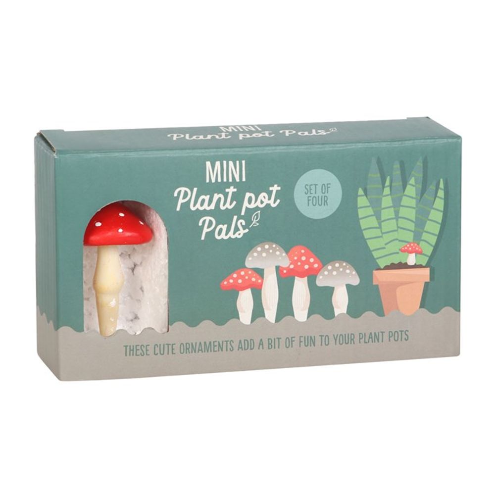 A green product box labeled "Set of 4 Mini Mushroom Plant Pot Pals" features four miniature toadstool ornaments. The box is adorned with illustrations of mushrooms and a potted plant, and it states, "These cute ornaments add a bit of fun to your plant pots or fairy garden.