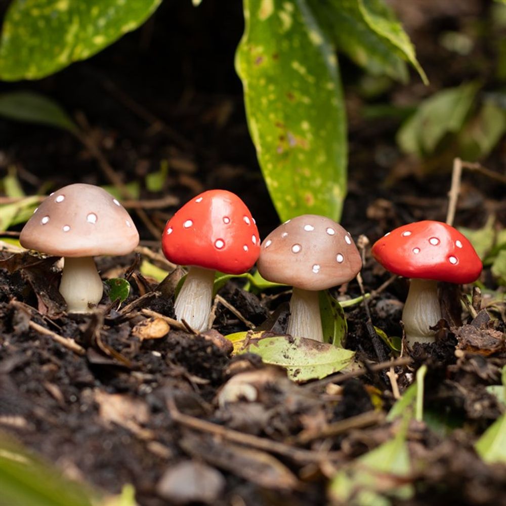 Four charming mini mushrooms with red and brown caps, each decorated with whimsical white spots, grow closely together in dark soil. Surrounded by lush green foliage, they create the perfect fairy garden scene. The Set of 4 Mini Mushroom Plant Pot Pals adds a magical touch to any plant pot setting.