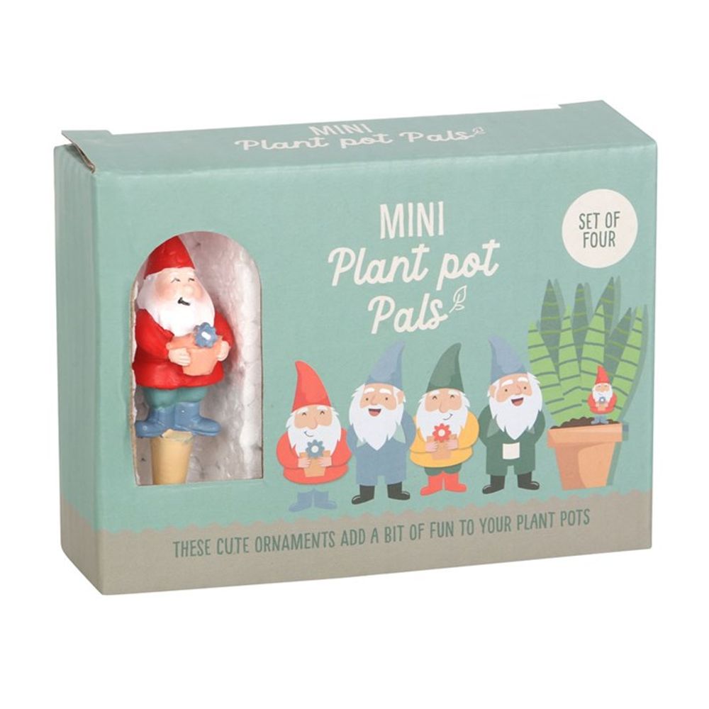 The "Set of 4 Mini Gnome Plant Pot Pals" includes four vibrant gnome ornaments in a window box displaying one gnome with a flower, perfect for adding charm to plant pots or whimsical flair to your fairy garden.