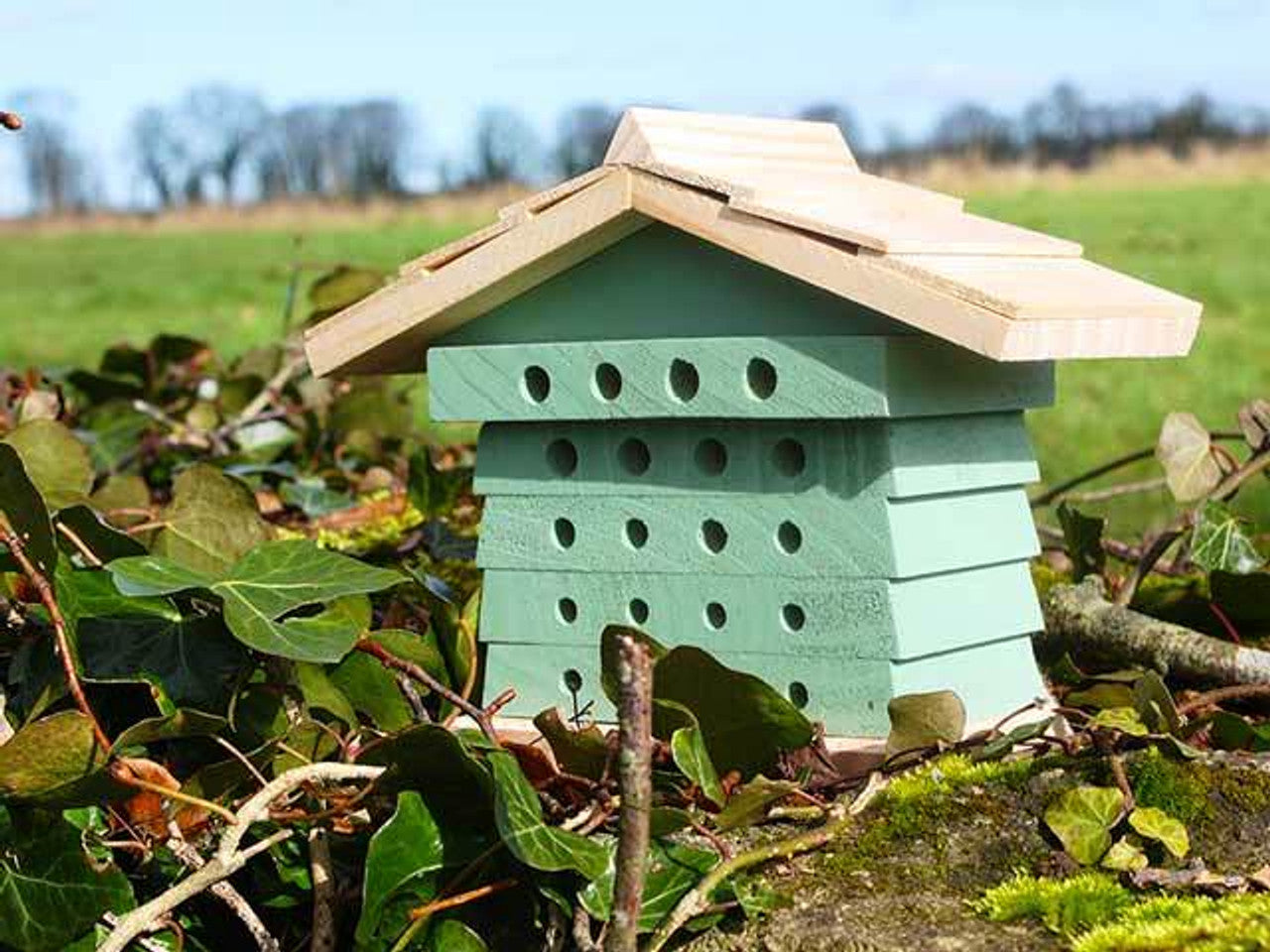 The Wildlife World FSC® Timber Solitary Bee Hive in Sea Green is a small wooden insect house with a slanted roof, crafted from FSC® timber. Designed as an eco-friendly beehive and pollinator habitat, it is placed outdoors on a bed of leaves and twigs. The hive features multiple rows of circular holes for insects to enter, set against a blurred backdrop of trees and grass under a clear sky.