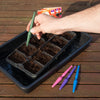 Etree Dibbers (3pcs) Mixed Colours Gardening Accessories