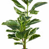 Artificial Large 110cm Rubber Ficus