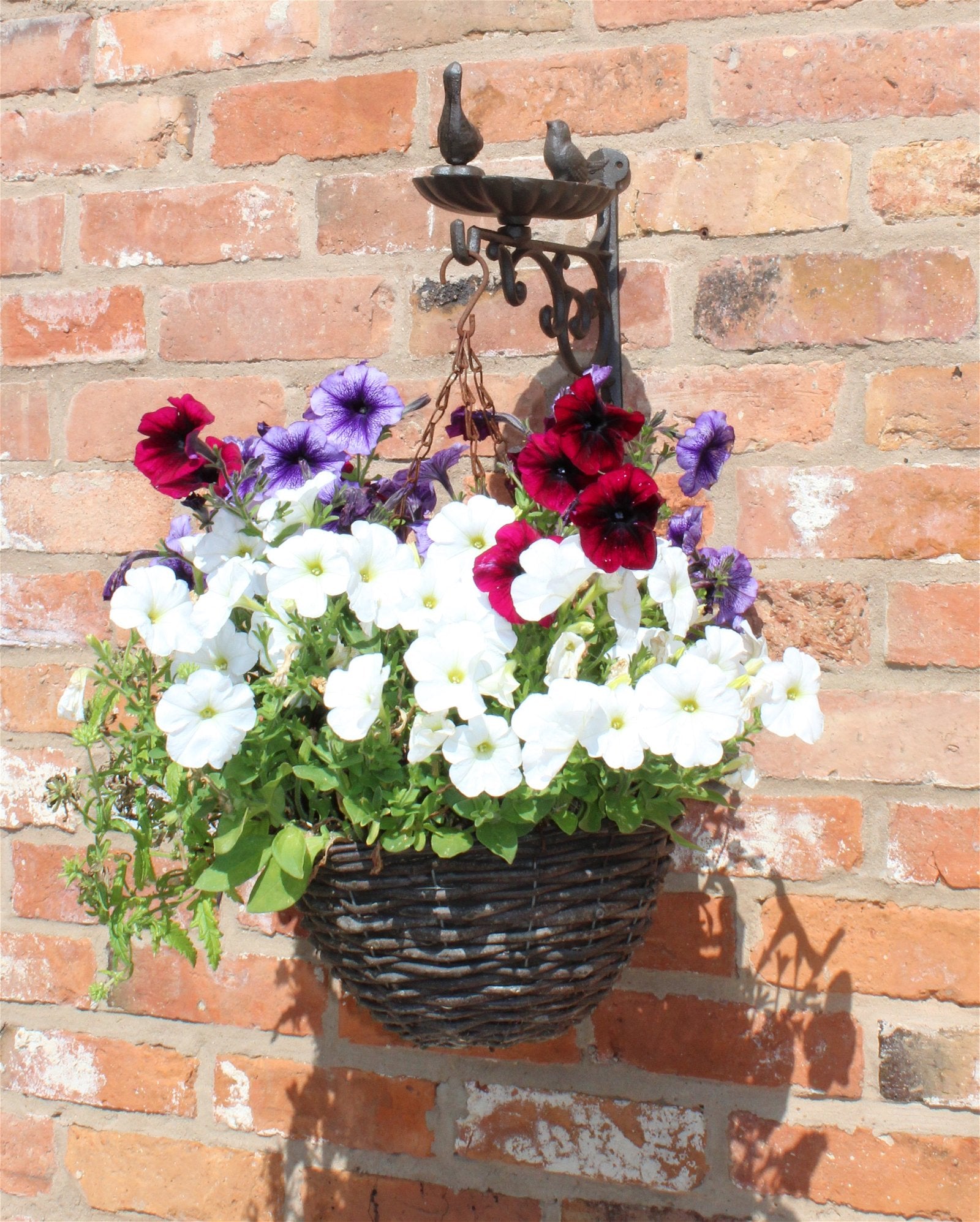 Cast Iron Hanging Basket Wall Bracket With Bird Feeder