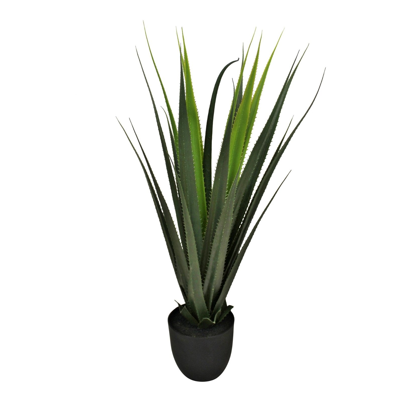 An artificial Aloe Vera Plant, 80cm tall