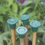 Etree Plain Cane Caps (10pcs) Gardening Accessories