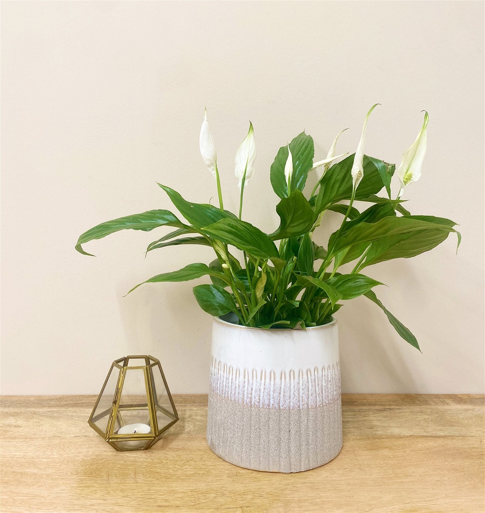 Grey Two-tone Textured Planter