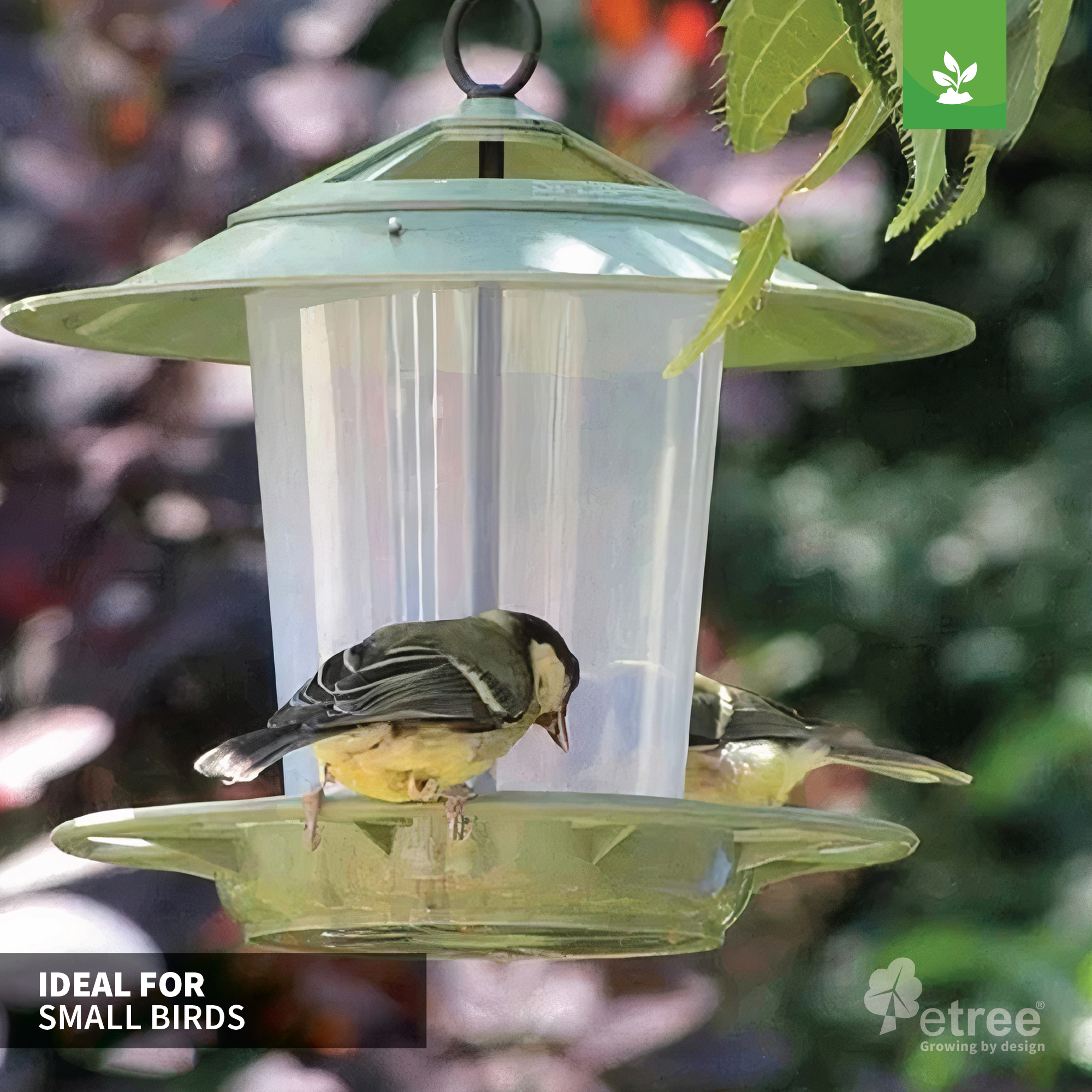 A bird feeder hanging from a branch, with one small bird perched on the edge and another partially visible. The Etree Bird Feeder Lanterns - Easy to Clean Prevent Disease & Protect Wildlife features a green lid and offers a hygienic feeding environment, set against a blurry background of foliage. Text on the image reads "IDEAL FOR SMALL BIRDS" and "etree growing by design.