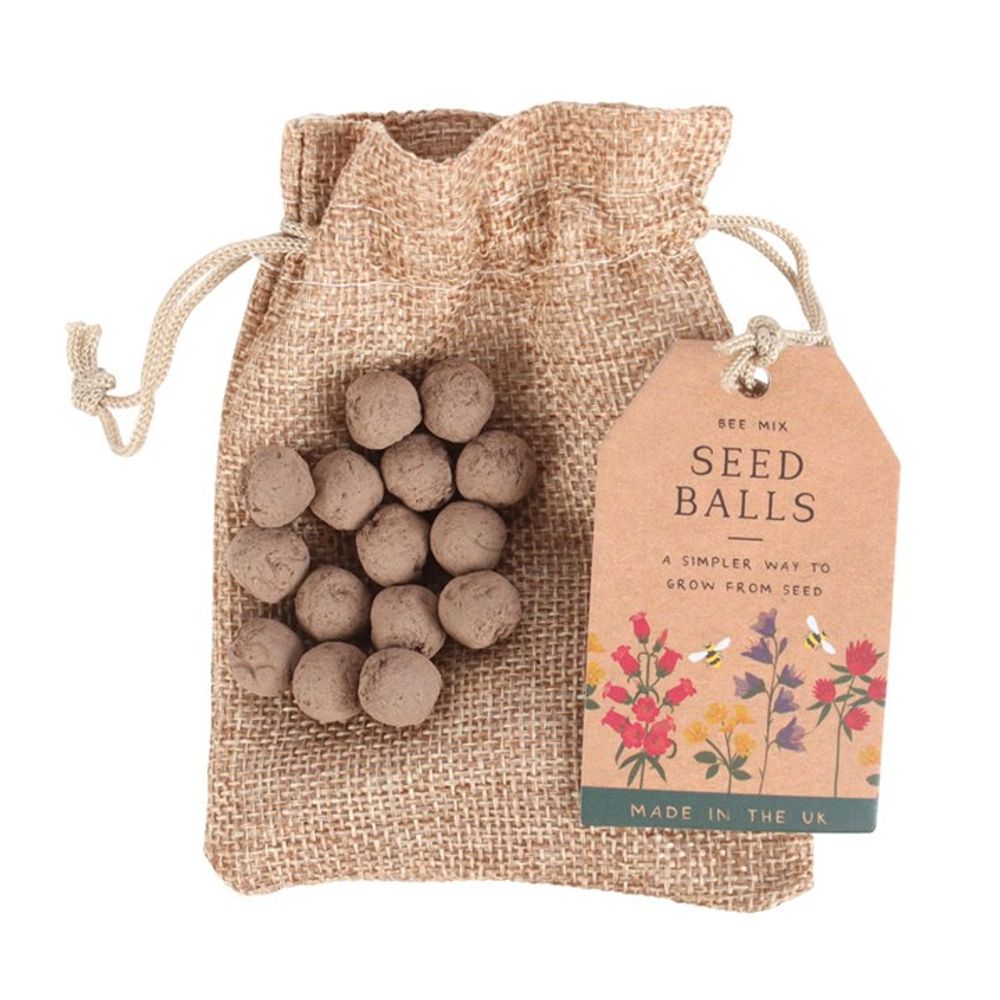 Front view of 24 Garden Seed Balls in a Bag